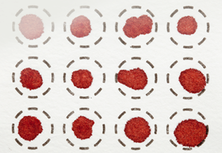 Dried blood spots on a fiber filter for laboratory analysis